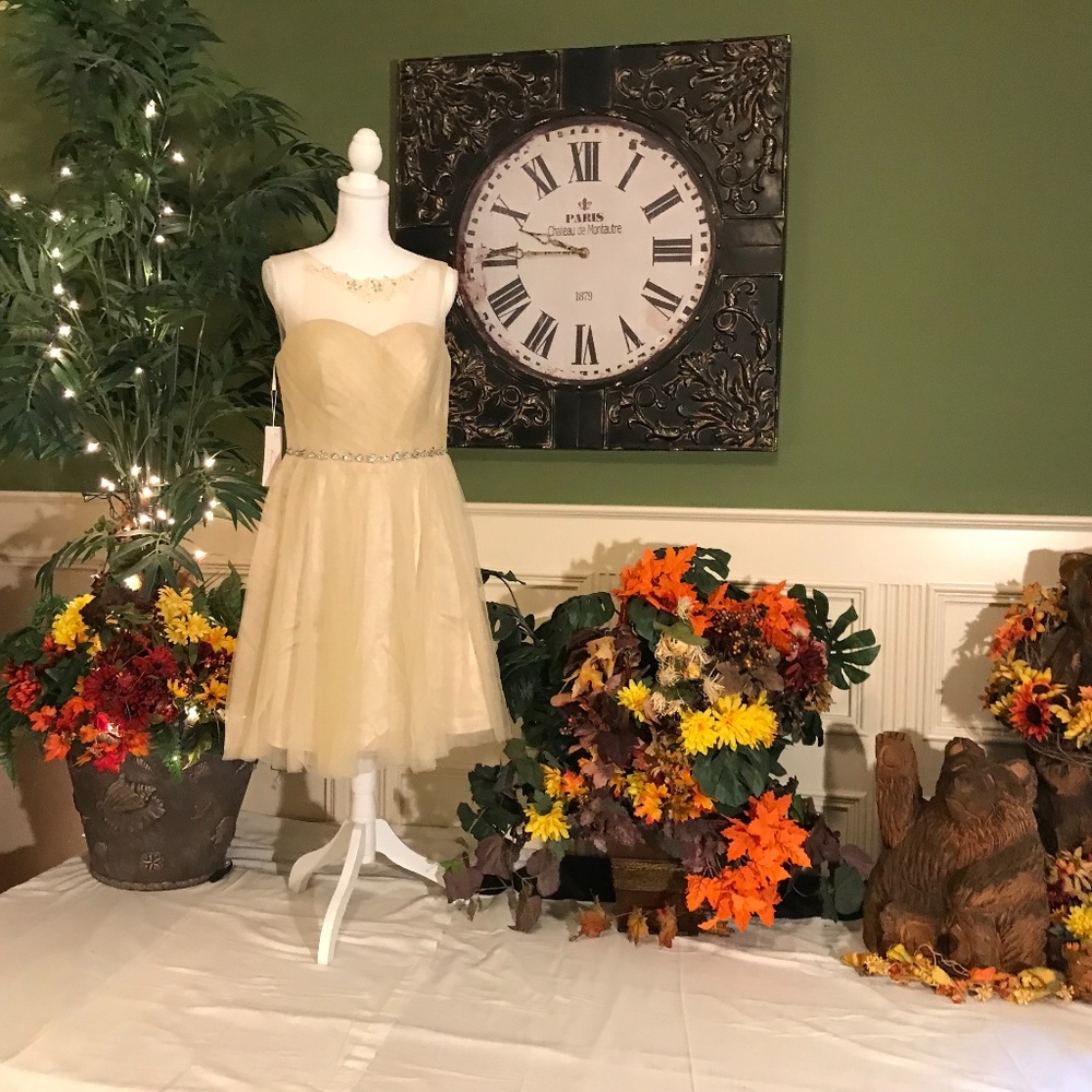 Formal champagne beige color tulle party cocktail dress
